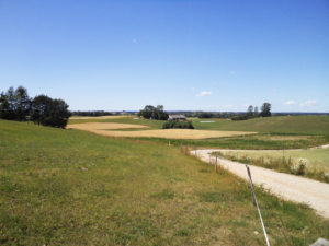 domek Przejma Wielka